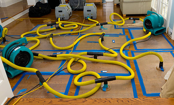 Professional Crawl Space Water Removal technician working in Cologne, MN